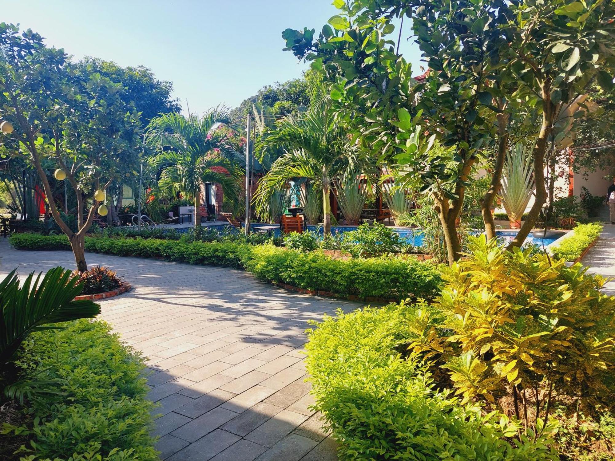 Ninh Binh Mountain Side Homestay & Cafe Bagian luar foto